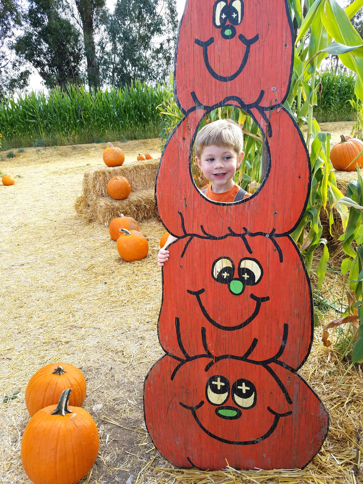 Pumpkin Patch